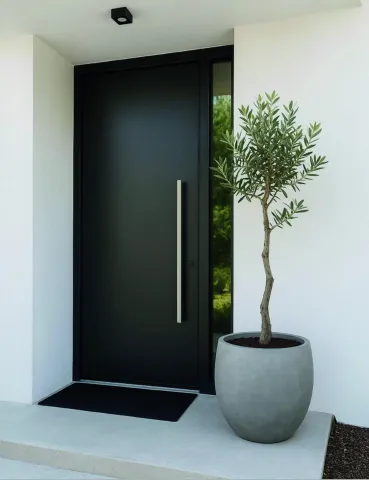 Entrance Door D007